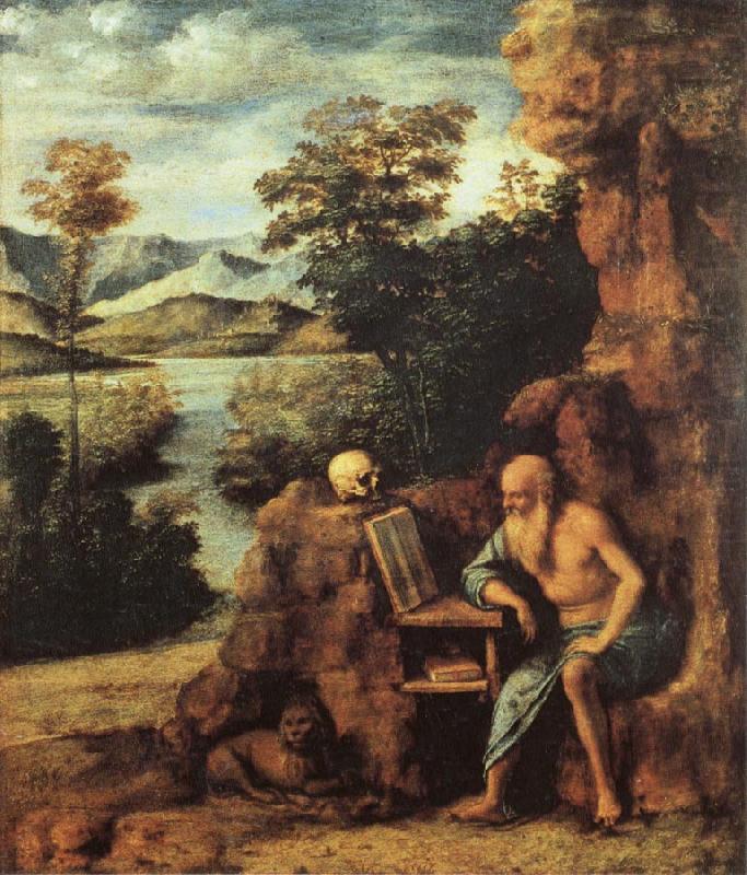 CIMA da Conegliano St.Jerome in the Desert oil painting picture
